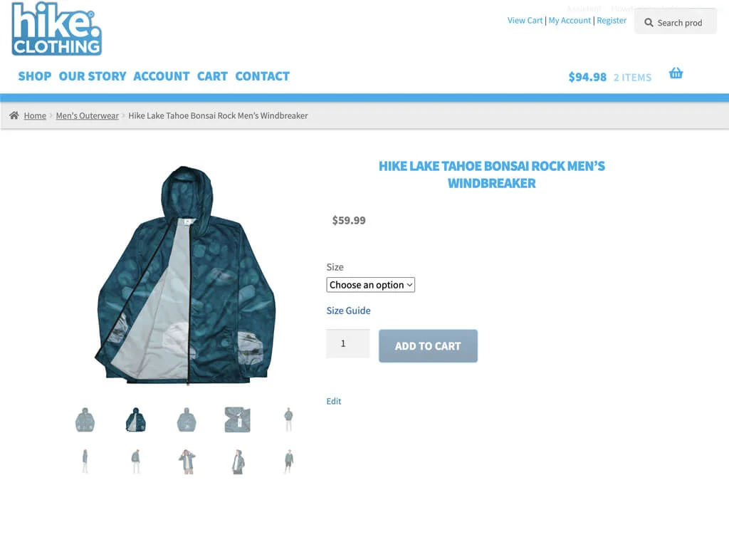 Website Hosting & Management